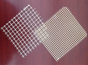 Jiangsu ruida PTFE mesh fabric cloth