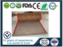 PTFE teflon coated fiberglass mesh dryer belt